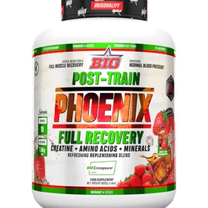 Phoenix Post Entreno + Regalo magnesio