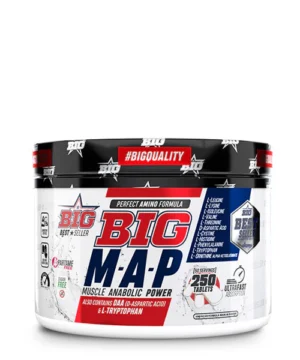BIG M.A.P